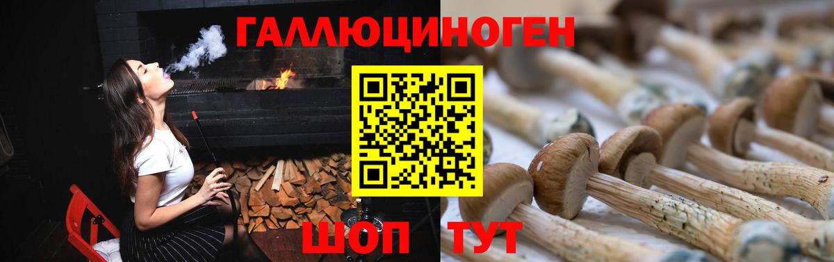 Родники  Псилоцибиновые грибы Cubensis  Вход с VPN  продажа наркотиков  Галлюциногенные грибы Psilocybe 